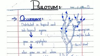 PSILOTUM General characters and Reproduction In hindiUrdu ADSBSCBS [upl. by Eupheemia651]