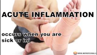 Chronic Inflammation Vs Acute Inflammation What You Need To Know [upl. by Yelime254]