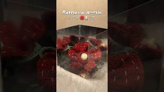 Rafflesia Arnoldii🌺✨ crocheting crochet crochetideas art [upl. by Ahsercal]