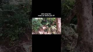 APAKAH ADA MATA AIR DI POS 3 GUNUNG SALAK VIA CIMELATI  BANG ALFI  gunungsalak hiking bangalfi [upl. by Meghann776]