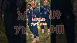 አምና አድስ አበባ  Best Amharic Music [upl. by Arramat]