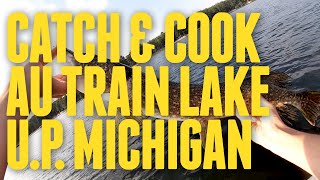 Northern Pike catch and cook in the UP of MichiganAu Train Lake [upl. by Ihdin]