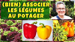 Les bonnes associations de légumes au potager [upl. by Addis197]