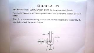 Esterification Theory for Practical Gr 12 [upl. by Yralam]