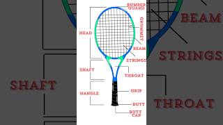 What are the Parts of a Tennis Racket [upl. by Borg315]