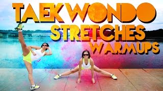 TKD Warmup amp Stretching Routine [upl. by Tobe]