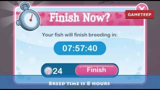 How to breed Peppermint Fish in Fish with Attitude LIMITED EDITION [upl. by Ellenig]