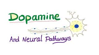 Neurotransmitters  Dopamine amp Dopaminergic Neural Pathways  Physiology amp Pharmacology [upl. by Eugatnom]