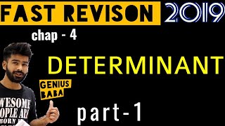 1 DETERMINANT  REVISION CLASS 12 MATHS [upl. by Esra]