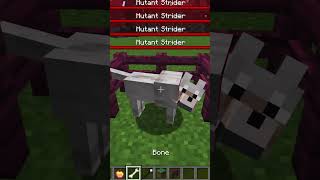 Super dog Vs 100 Striders in Minecraft minecraft gamer youtube gameplay twitch games rap [upl. by Alleuqcaj]