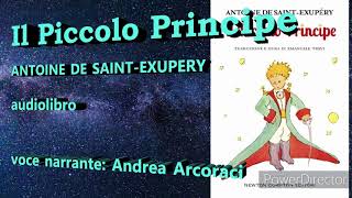 Il Piccolo Principe audiolibro [upl. by Eliezer596]