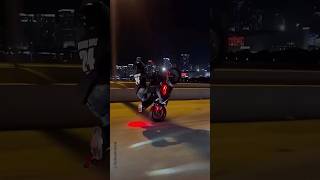 Holding A CBR600 Rev Limiter Wheelie [upl. by Seditsira561]