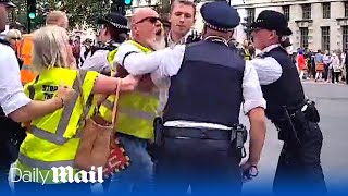 ULEZ protest boils over Police officers wrestle with raging protesters outside Downing Street [upl. by Anabal]