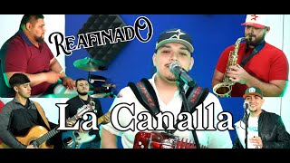 Reafinado  La Canalla Live Session [upl. by Bang954]