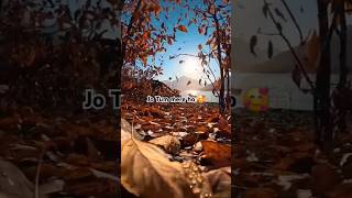 Jo Tum mere ho anuv jain ❤️Nature WhatsApp statusNature love whatsapp status shorts shortsvideo [upl. by Savdeep]