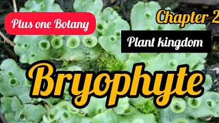 Plus One BotanySecond ChapterPlant kingdomBryophyte [upl. by Rehpotsirc]