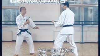 Learn SHORINJI KEMPO Japanese martial arts  Self defence [upl. by Pantheas]