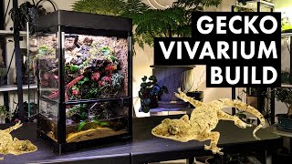 Bioactive Mourning Gecko Vivarium Build [upl. by Aehsan70]