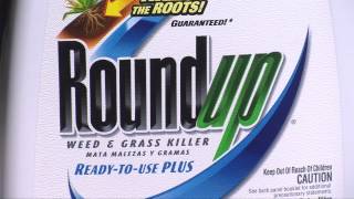 RoundUp Weed And Grass Killer ReadyToUse Plus [upl. by Assylla76]