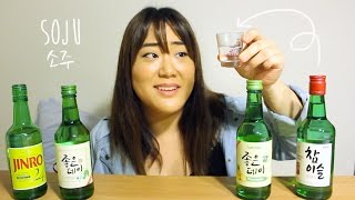 SOJU TASTE TEST  소주 마시기 [upl. by Eceerehs]