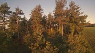 Dji avata 2 fpv 154 [upl. by Ferd223]