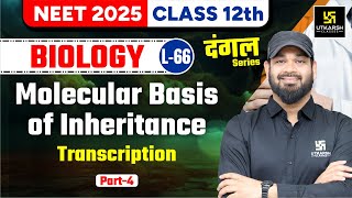 Class 12 Biology  Molecular Basis of Inheritance Transcription P4 NEET 2025  L66  Zeeshan Sir [upl. by Ndnarb]