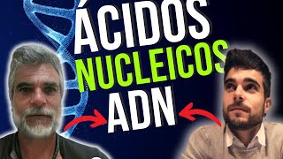 ÁCIDOS NUCLEICOS el ADN [upl. by Pattison]