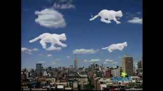 Sesame street Cats aper the clouds [upl. by Caesar]