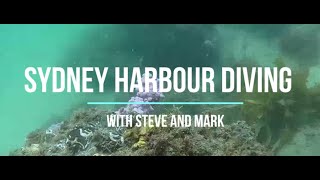 Sydney Harbour Scuba Diving sydneyharbour scubadiving [upl. by Oigroig268]