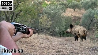 DOMUZ AVI İz Takibi ve Bek AvıWild Boar huntingSanglier ChasseWildschweinjagd HD kısakısa [upl. by Aicekat]