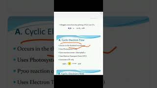 PhotosynthesislLight Reaction 73Cyclic and Non cyclic Photophosphorylation ‎botanysolution4054 [upl. by Fredkin]