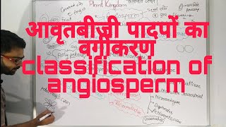 Classification of Angiosperm in Hindi  आवृतबीजी पादपों का वर्गीकरण  Plant Kingdom in Hindi [upl. by Ahsiuqram]