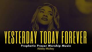 Prophetic Warfare Worship Music  Midnight Prayer Music  Deep soaking worship  Abbey Mickey [upl. by Stevie]