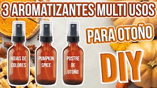 3 AROMATIZANTES MULTI USOS PARA OTOÑO  DIY ZEROWASTE  Mixi [upl. by Annairt1]