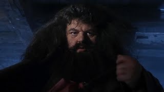 A visit from Rubeus Hagrid  Harry Potter and the Philosophers Stone [upl. by Goody]