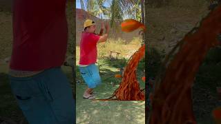 Plantinhas do mal comedyshorts humor comedias shortvideos canaldecomedia comedy [upl. by Christabel]