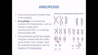 What is aneuploidy [upl. by Enoryt]