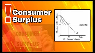 Consumer Surplus  TamilEnglish notes economicstamil consumersurplus economics [upl. by Aikenahs]