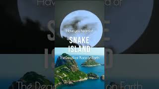 Snake Island The Deadliest Island on Earth [upl. by Eleaffar]