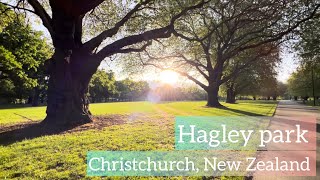 Evening walk  Hagley park Christchurch  New Zealand 🇳🇵🇳🇿 couplegoals memories eveningwalk [upl. by Lerrehs]