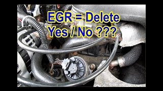 EGR  Delete or Not    YES  NO    Learn how to from my mistakes [upl. by Euginom]