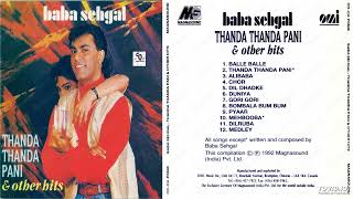 Baba Sehgal  Thanda Thanda Pani amp Other Hits  90s EVERGREEN Indi Pop Hitsshyamalbasfore [upl. by Ayotyal]