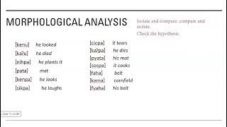 Solving morphology problems [upl. by Omissam]