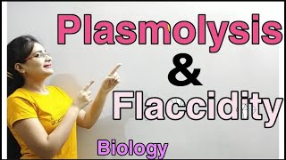 DG Pathshala Plasmolysis Flaccidity Absorption by Roots Topic for Class10 ICSE Biology [upl. by Amsirak]