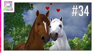 Horse Life Part 34 Ending Horse Game [upl. by Everrs165]