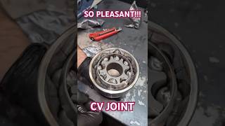 Special Edition for Lubricant lovers shorts cvjoint driveshaft [upl. by Ly]