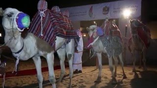 ICAOUNOOSA  UAE Desert Gala Dinner 2016 [upl. by Lorrimor]