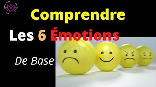 COMPRENDRE les 6 Émotions de BASES [upl. by Botzow]