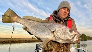 Jewfish bonanzaamazing river fishing [upl. by Redvers200]