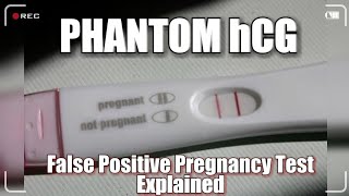 Phantom hCG amp Cryptic Pregnancy [upl. by Naivart]